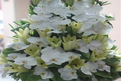 Shop hoa tươi Triệu Sơn Thanh Hóa