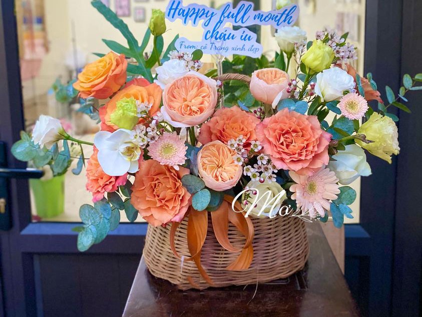 điện hoa thanh hóa 1