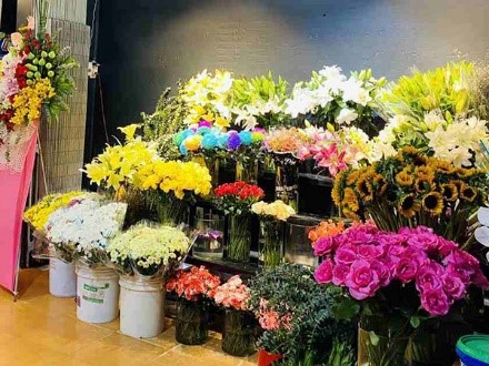 shop hoa tươi nghi sơn thanh hóa