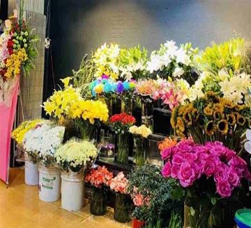 Shop hoa tươi Nghi Sơn Thanh Hóa