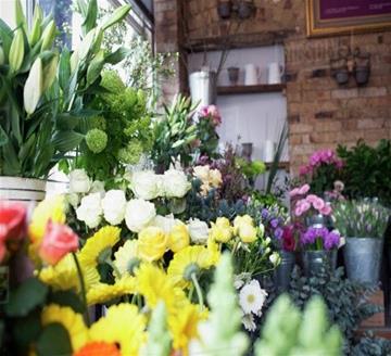 Shop hoa tươi Bỉm Sơn Thanh Hóa