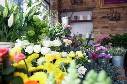 Shop hoa tươi Bỉm Sơn Thanh Hóa