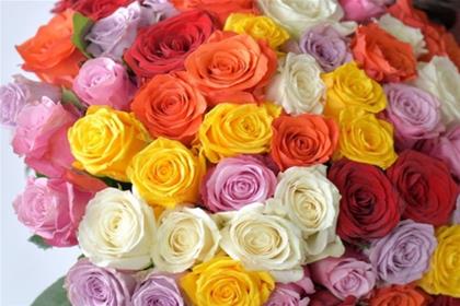 Ý nghĩa những loại hoa tình yêu theo màu sắc