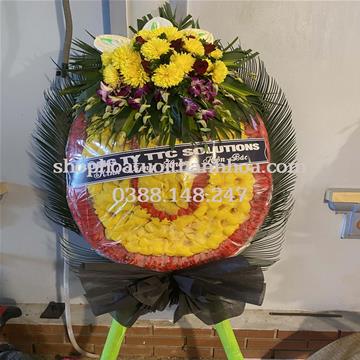 Vòng truyền thống 22